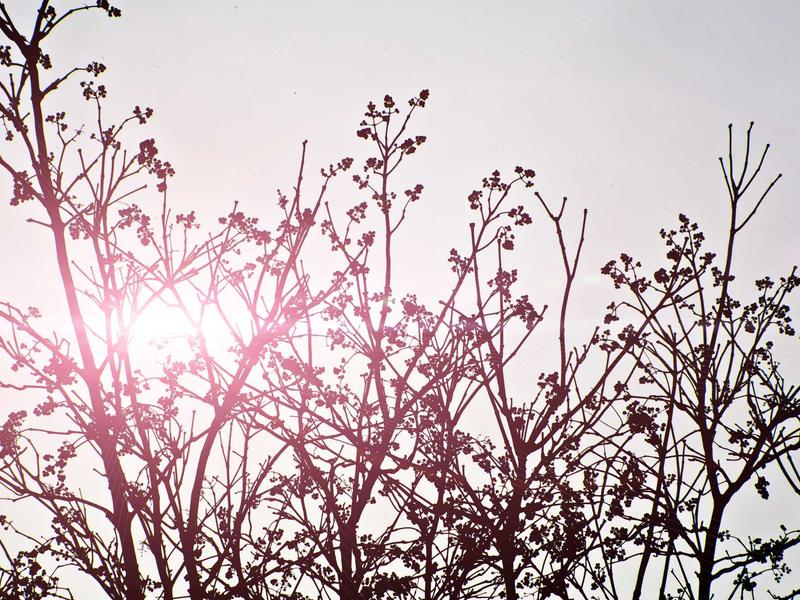 sudoku jigsaw puzzle screenshot 3